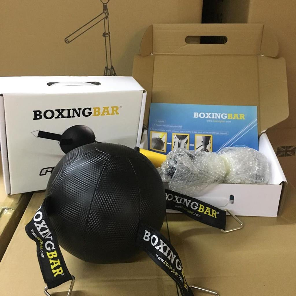 king of the ring boxing bag